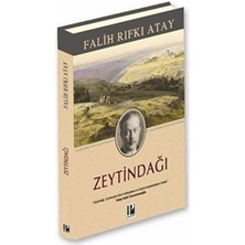 Pozitif Yayınları Zeytindağı (Ciltli)
