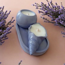 Celestia Deniz Kabuklu Dekoratif Mum Seti