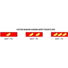 Seyhan Üstün Başarı Kıdemi (Erken Terfi) Şerit Rozeti