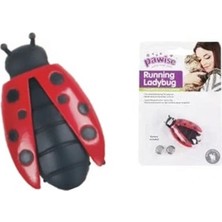 Shoplet Buğz Uğur Böceği Hareketli Kedi Oyuncağı