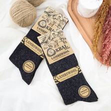 Kral Socks 2 Çift Erkek Kışlık Çorap Lambswool Yünlü Çorap (40-44 Beden)