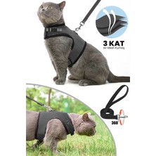 Özbience Nefes Alabilen 3 Kat File Kedi Göğüs Tasma 2'li Set Siyah