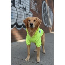 Zen Dog ZenPaw "Punk’s Not Dead" Neon Sarı Kapüşonlu Köpek Yağmurluğu – Su Geçirmez, Cepli ve Çıtçıtlı Tasarım