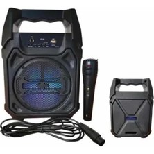 Shoplet Buğz Karaoke Mikrofonlu Fm Radyolu Bluetooth Hoparlör Yüksek Ses Kaliteli