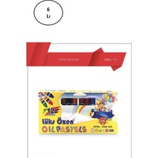 Flamex 5 Adet Sakal Sabunluk Lif Ipliği 105