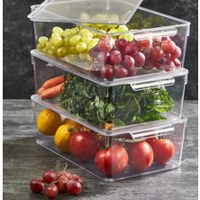 Flamex 5 Adet Lotus Bikini Büstiyer Bluz Örgü Ipi  K101 Nar Çiçeği