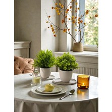 Neşeli Çiçekler Yapay Çiçek 2 Li Set Masa Üstü Dekor 25 cm Dekoratif Masa Süsü Plastik Saksıda Küçük Ev Süsleri