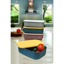 Sween Home Lova 3.2 Lt Dikdörtgen Kapaklı Saklama Kutusu 8*18*26 cm