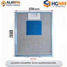 Hgnm E-Trading 318X257 mm Davlumbaz Metal Yağ Filtresi C00268543 Ariston Hotpoint Indesit Uyumlu Aspiratör Filtresi B9