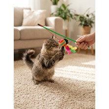 Gökkuşağı Esintili Çıngıraklı Kedi Oltası