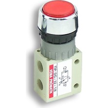 Vema Dg-32-1/8 Düğmeli, Yay Dönüşlü Gömme Başlı (P= 0-10 Bar)