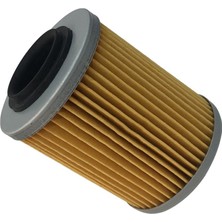 Yag Filtresi Atv Cf 450-550-625-800
