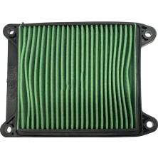 Hava Fıltresı Bajaj N250-F250