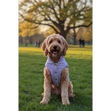 Zen Dog ZenPaw Lila Kapitone Köpek Montu – Yumuşak Astarlı, Çıtçıtlı, Soğuk Hava Köpek Kıyafeti