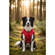 Zen Dog ZenPaw Kırmızı Desenli Kapitone Köpek Montu – Yumuşak Astarlı, Çıtçıtlı, Soğuk Hava Köpek Kıyafeti