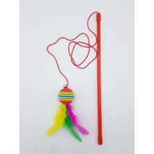 Toplu ve Lastikli Ithal Kedi Oltası