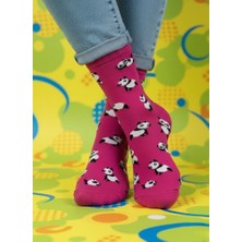 Baff Panda Desenli Çorap 43-46