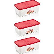 Sween Home 3 Adet Dikdörtgen Kapaklı Saklama Kabı 2.5 Lt