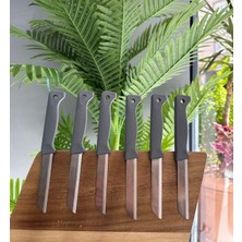 Solingen 6'lı Mat Delikli Meyve Bıçağı