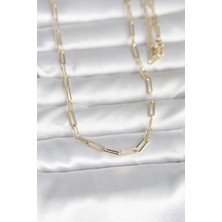 Butik cm 14K Gold Renk Ataç Zincirli Model 60 cm Kadın Kolye