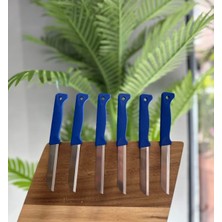 Solingen 6'lı Mat Delikli Meyve Bıçağı