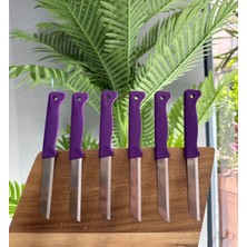 Solingen 6'lı Mat Delikli Meyve Bıçağı