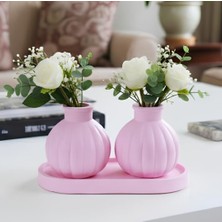 E.M.S Vazo Seti Pampas Tombul Vazo 2 Adet & Dekoratif Tabak Biblo Seti 3 Parça Pastel Pembe.