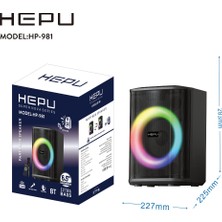Hepu HP-981 Karaoke Bluetooth Speaker 6.5” Woofer Güçlü Bass Tws