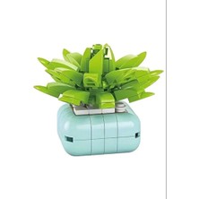Sukulent Haworthia Manda's Hybrid Saksı Çiçek Dekor 104PARÇA Bricks Yapı Blok 3 Boyutlu Puzzle Oyuncak Hediyelik