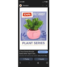 Sukulent Haworthia Cooperi Saksı Çiçek Dekor 71PARÇA Bricks Yapı Blok 3 Boyutlu Puzzle Oyuncak Hediyelik