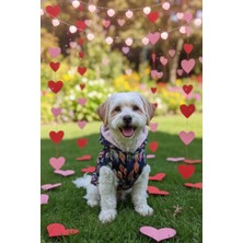 Zen Dog ZenPaw Lacivert Balık Desenli Kapitone Köpek Montu – Yumuşak Astarlı, Çıtçıtlı, Soğuk Hava Köpek Kıyafeti