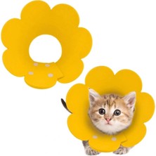 Özbience Siyah Keçe Yaka, Evcil Hayvanlar Için Güvenli ve Konforlu Tasarım