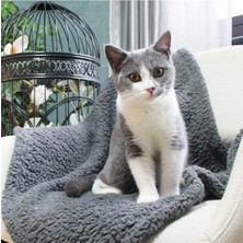 Özbience Yumuşacık Peluş Kedi Battaniyesi 60X80 Cm, Konfor ve Sıcacık Hissiyat