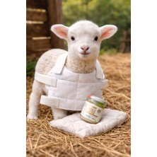 Özbience Yün Dolgulu Doğal Yelek ve Kuyruk Yağı ile Sıcak ve Konforlu Giyim