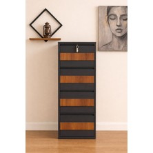 Arinna 4 Lü Ahşap Desenli Kilitli Metal Ayakkabılık