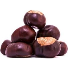 Nk Organik Yenilmez At Kestanesi Tane (Aesculus Hippocastanum) 250GR