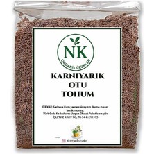 Nk Organik Karnıyarık Otu Tohumu Tane 50GR