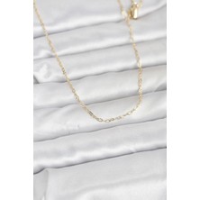 Clariss cm 14K Gold Renk 60 cm Zincirli Kadın Kolye