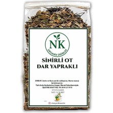 Nk Organik Sinirli Ot (Plantago Lanceolata) Damar Otu 25GR