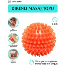 Özbience Sağlıklı ve Rahatlatıcı Masaj Deneyimi Için 6 cm Masaj Topu