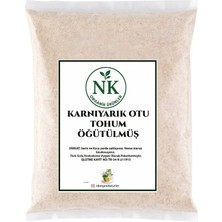 Nk Organik Karnıyarık Tohumu Toz (Psyllium Husk) 500GR