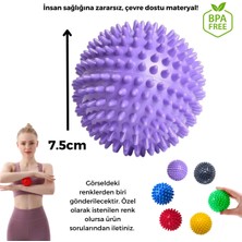 Özbience 7.5 cm Bpa Free Masaj Topu Dikenli Duyu Uyarıcı El ve Vücut Egzersiz Topu