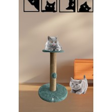 Özbience Yüksekliği Ayarlanabilir Kedi Tırmalama Tahtası, Eğlenceli ve Dayanıklı