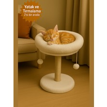 Özbience 2'li Set Kedi Tırmalama Tahtası ve Yuvarlak Yataklı, 40 cm Yatak, 55 cm Uzunluk
