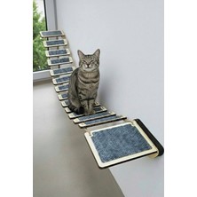 Özbience Kedi Duvar Köprüsü ve Tırmanma Rampası, Eğlenceli Tırmanma Parkuru