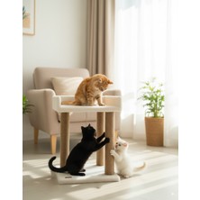 Özbience Teraslı Yataklı Ponponlu Kedi Tırmalama Oyuncaklı Eğlence Seti