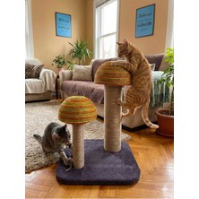 Özbience Yumuşak ve Dayanıklı Kedili Tırmalama Oyuncağı, Eğlenceli Vakitler Için Ideal