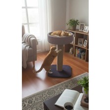 Özbience Konforlu Kedi Tırmalama Yuvası, Dayanıklı ve Şık Tasarım