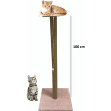 Özbience Geniş ve Dayanıklı 100 cm Kedi Tırmalama Tahtası, Eğlence ve Egzersiz Sağlar