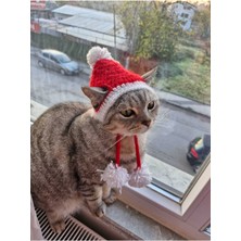 Özbience Rahat ve Şık Kedilere Özel Sevimli Şapka Aksesuarı